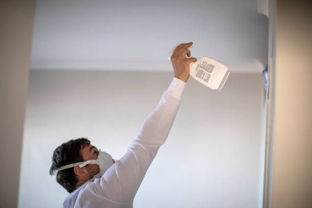Best Emergency Mold Removal  in Yardley, PA