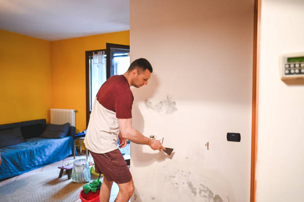 Best Residential Mold Removal  in Yardley, PA