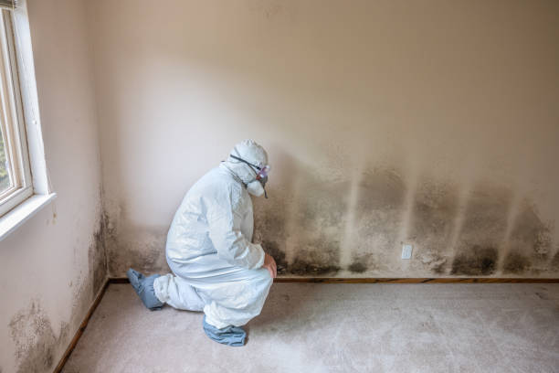 Water Damage Restoration in Yardley, PA