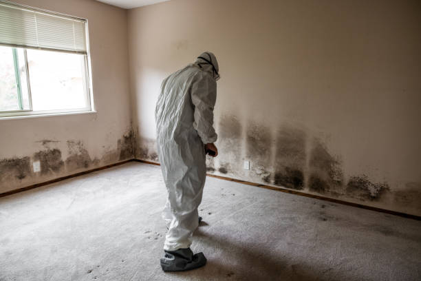 Crawl Space Mold Removal in Yardley, PA